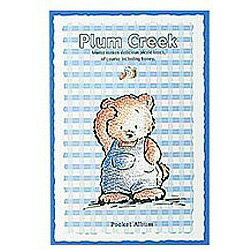 【在庫限り】 Nakabayashi ミニアルバム「プラムクリーク」（EL判・24枚収納）　ア-PA-50-24 [振込不可]