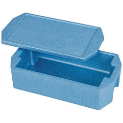 ダイキュウ ホテルパン専用コンテナ- ホット＆クール 1/1用 RH-170型 ＜AKVQ601＞ AKVQ601