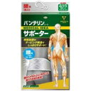 KOWA 【バンテリンコーワサポーター】腰用ふつう シャイニンググレー