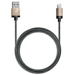 VERBATIMJAPAN iPad / iPad mini / iPhone / iPod対応 Lightning ⇔ USBケーブル 充電・転送 2.4A (2.0m・ゴールド) MFi認証 64665 64665 VERBATIMJAPAN iPad / iPad mini / iPhone / iPod対応 Lightning ⇔ USBケーブル 充電・転送 2.4A (2.0m・ゴールド) MFi認証 64665 64665