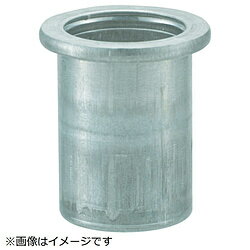 �ȥ饹���滳 �����ץʥå�ʿƬ����� �ĸ�2.5 M6X1.0 1000�� TBN6M25AC TBN6M25AC