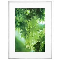 ハクバ ZEROフレーム G-01 A3ノビ シルバー　FZG01A3NSV FZG01A3NSV