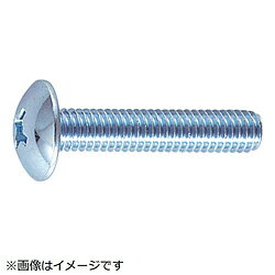 Rakuten - トラスコ中山 トラス頭小ネジ ユニクロ サイズM3X10 290本入 B040310 B040310