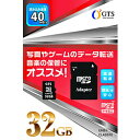 GTS microSDHCカード GTS GSMS032PAD [32GB /Class10] GSMS032PAD