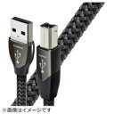 I[fBINGXg USBP[u USB2/CAR/0.75M USB2CAR0.75M