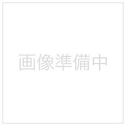 フォトプリントパック(Lサイズ120枚入り)サイズL判入数120枚フォトプリントパック(Lサイズ120枚入り)