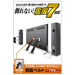 ELECOM(エレコム) TV用耐震ベルト/~75V用/強力粘着シールタイプ/2本入 TS-002N2 TS002N2