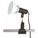 東京メタル 防雨型ライト LED電球付 CH-300BLDR12 CH300BLDR12