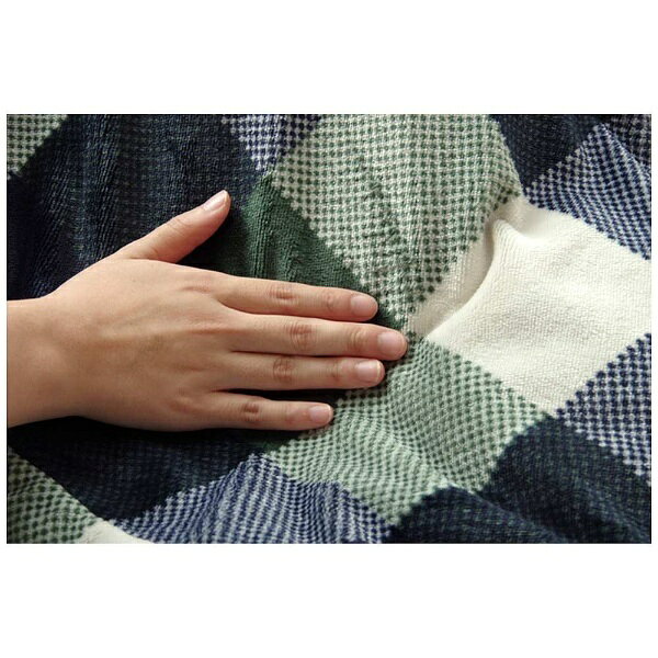 イケヒコ 【こたつふとんカバー】ファスナータイプ ジャーナル(正方形/グリーン/ふとんカバーサイズ:195×195cm) Jarnal(ジャーナル) グリーン 5891469 [対応天板サイズ:約75×75cm /正方形] 5891469 [2]