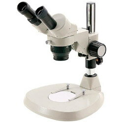 �ϔ{�����̌����� TXT-2040