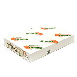 �������� NEW�ե����󥫥顼 A4/500 �����ܥ꡼