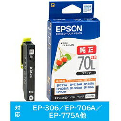 EPSON(エプソン) 【純正】 ICBK70L 純正