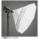 GAMILIHGT Octave53 WhiteS マウント付属