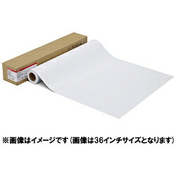 Canon(����Υ�) LFM-GPPT/42/300 ������桡����Υ�̿��ѻ桦���� �ץ��ʥץ���ʥ��졼�ɡ� [30.5m] LFMGPPT42300