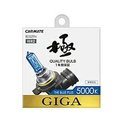 �����ᥤ�� BD529N �����֥롼�ץ饹5000K HIR2 BD529N