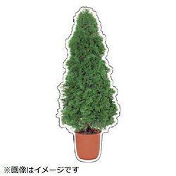 ユニット ユニット　フォトジョイシール　ヒバ　PVCステッカー　800×330mm 91556