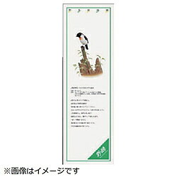 ユニット ユニット　シールギャラリー　ノビタキ　PVCステッカー　1000×320 91643