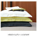 フランスベッド 【まくらカバー】エッフェ プレミアム(綿100%/43×63cm/ライムグリーン)