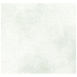 平和紙業 ファンシーペーパー 新アトモス［B5サイズ /10枚］ B5-A-03 わさび B5A03