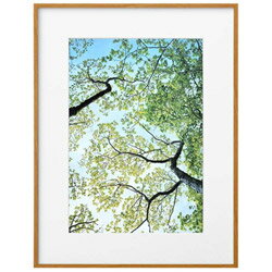 ハクバ ZEROフレーム G-01 A3 ナチュラル　FZG01A3NT FZG01A3NT