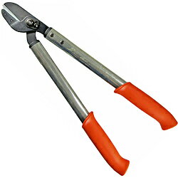 �¸����� LOWE �饤���� ������ 50cm LOWE E20050