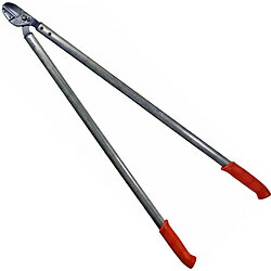 �¸����� LOWE �饤���� ������ 100cm LOWE E200100