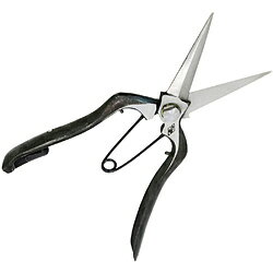 �ֿ� �ֿ� �ܿ��� ������ ��� �ֿ�