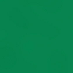 トーヨー おりがみ 24cm（50枚） 単色おりがみ あおみどり 75117 075117