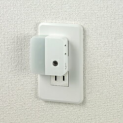 ELPA LEDセンサー付ナイトライト 明暗タイプ ホワイト PM-LC201(W) ［白色 /コンセント式］ PMLC201W