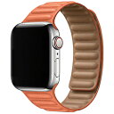 ACL[{ AppleWatch 44mm/42mmp }Olbgz[hoh IW IQAWLMG44OR IQAWLMG44OR