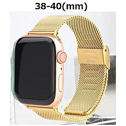 VPG ƥ쥹AppleWatchХ 38-40mm AW-STN01GD AWSTN01GD