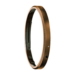 RICOH(リコー) リングキャップ ブロン