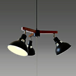 GL3065CHBK [�u���b�N]