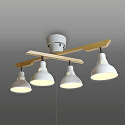 DN4021RSWH [�z���C�g]