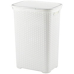  դɥ꡼ܥå Brasilia 23410 23410 [Բ]