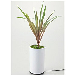 イシグロ グリーンディフューザー タイプA 70090 ［超音波式］ 70090