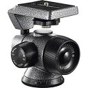 GITZO(ジッツォ) オフセンターボール雲台2型 GH2750 GH2750 【864】