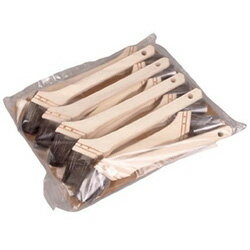 �ȥ饹���滳 ������ǽ���� 10�� 10���� TPB34110 TPB34110