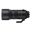 SIGMA(VO}) JY AF 70-200mm F2.8 DG DN OS (S) m\j[E /Y[Yn AF70200MMF2.8DGDN [Us] [s]