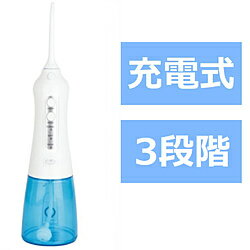 アントレックス 口腔洗浄器 スキ間シャワー JET 3399