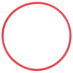 OLYMPUS(オリンパス) POL-050 （PT-050用Oリング） POL050