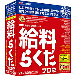 BSLシステム研究所 給料らくだプロ24