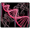 X-RAYPAD ゲーミングマウスパッド [490x400x6mm] Minerva DNA XLサイズ Pink Black xr-minerva-dna-pink-black-xl MINERVADNAPKBKXL