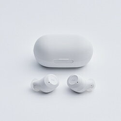 radius(ラディウス) 完全ワイヤレスイヤホン ホワイト HP-T250BTW ［ワイヤレス(左右分離) /ノイズキャンセリング対応 /Bluetooth対応］ HPT250BTW