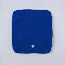 アンドゴー _go(アンドゴー) square 長方形タイプ ブルー _go (アンドゴー) ブルー G01SQBL G01SQBL