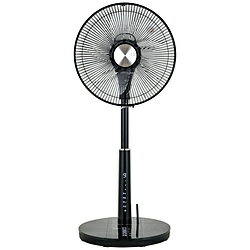 �������� DC�ե��⥳�󼰥�ӥ������� �֥�å� GF-DC325FR-K ��DC�⡼������� /��⥳���դ��� GFDC325FRK