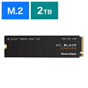 Western Digital 内蔵SSD PCI-Express接続...(2)