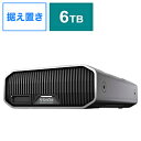 SANDISKPROFESSIONAL SDPHG1H-006T-SB...(2)