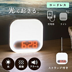 GDT ����ư�ܳФޤ� HIKARIDE COC-012WT COC-012WT