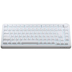 AndGAMER ゲーミングキーボード(ラピッドトリガー対応) 瞬 マタタキ ホワイト 3001JISA1WH ［有線 /USB］ 3001JISA1WH